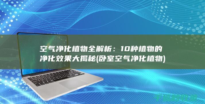 空气净化植物全解析：10种植物的净化效果大揭秘 (卧室空气净化植物)