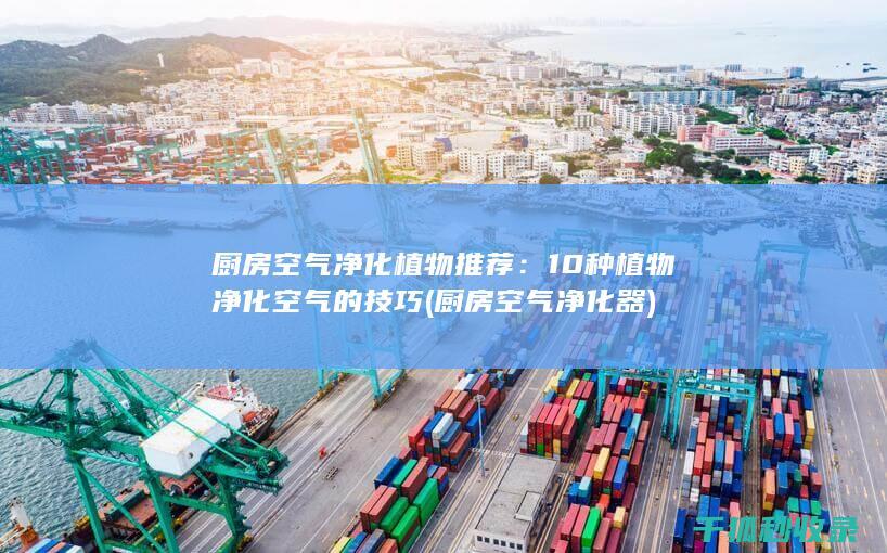 厨房空气净化植物推荐：10种植物净化空气的技巧 (厨房空气净化器)
