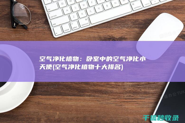 空气净化植物：卧室中的空气净化小天使 (空气净化植物十大排名)