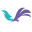 五孔探针