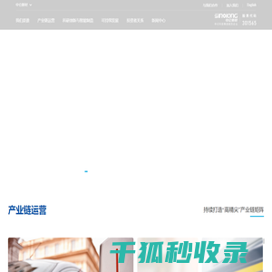 中仑新材料股份有限公司